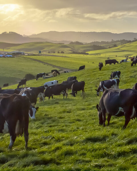 Farm Electrical Services